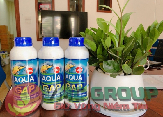 AQUA GAP || HÓA CHẤT THỦY SẢN