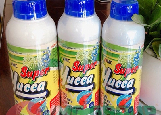 SUPER YUCCA VMC || HÓA CHẤT THỦY SẢN