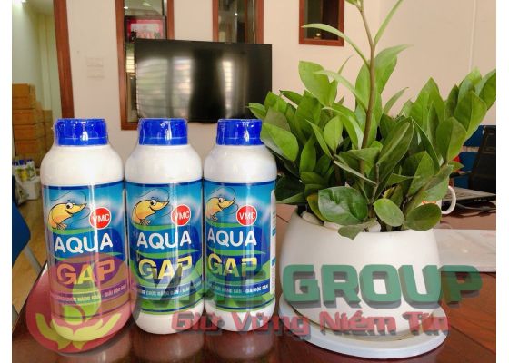 aqua-gap-hoa-chat-thuy-san